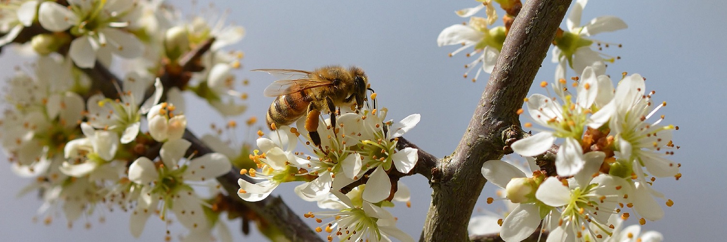 News und Inspiration für den Frühling aus Südtirol